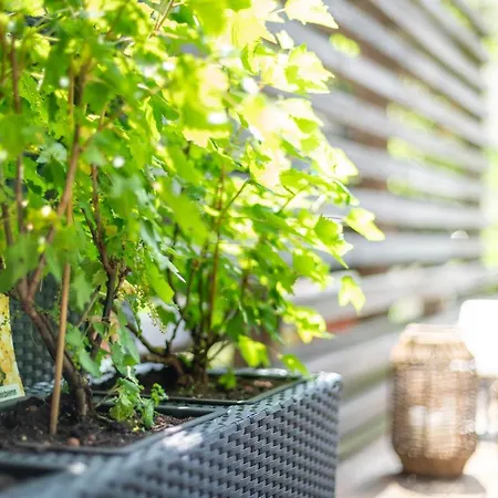 Loftss - Comfort - Barrierefrei - 112qm Offenes Wohnen - Grosse Terrasse 아파트