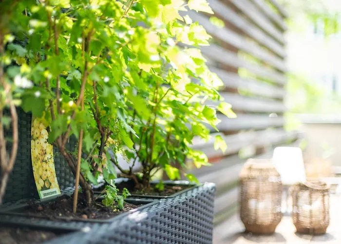 Loftss - Comfort - Barrierefrei - 112qm Offenes Wohnen - Grosse Terrasse 아파트